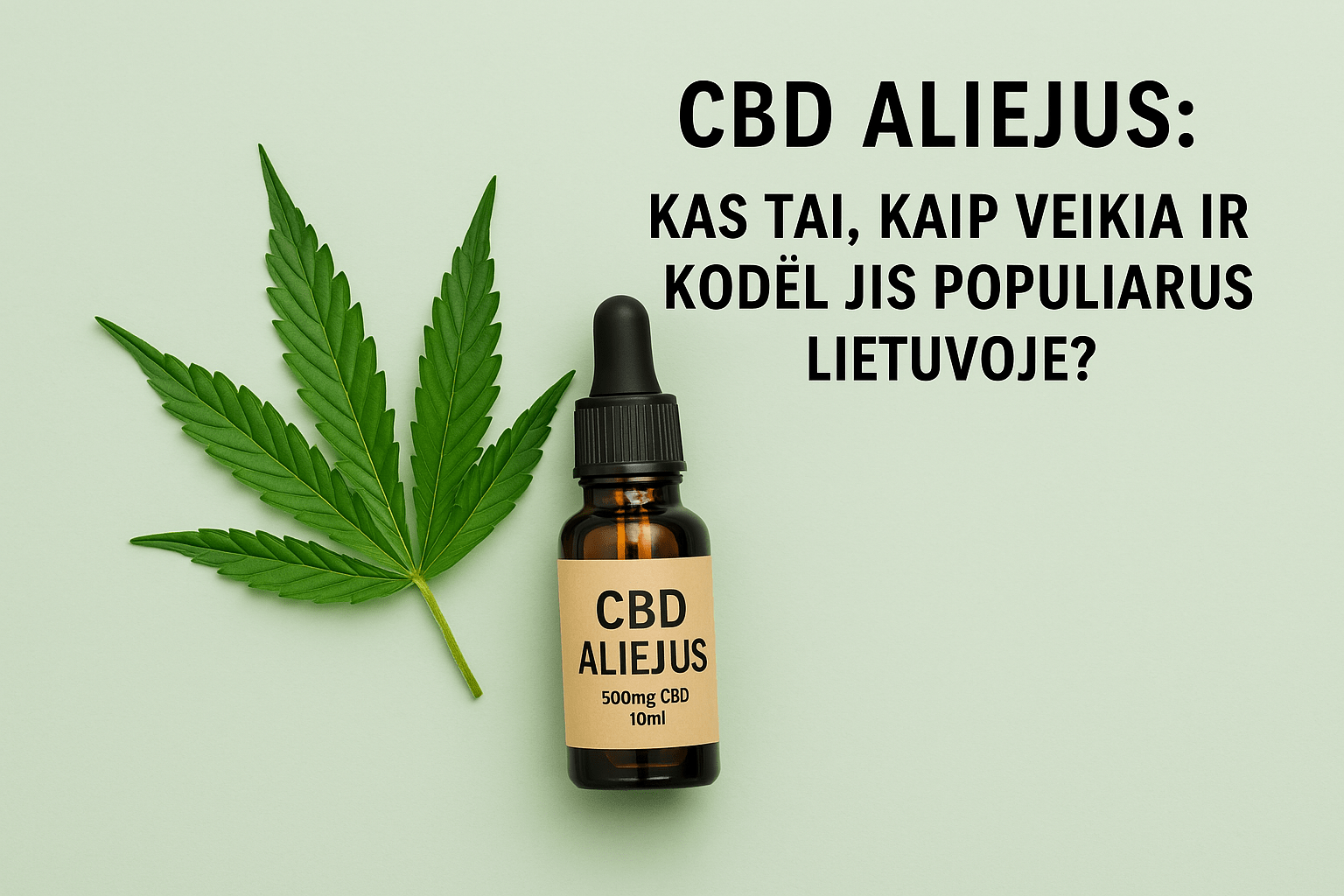 CBD Oil: How It Works, and Why It’s Popular in Lithuania